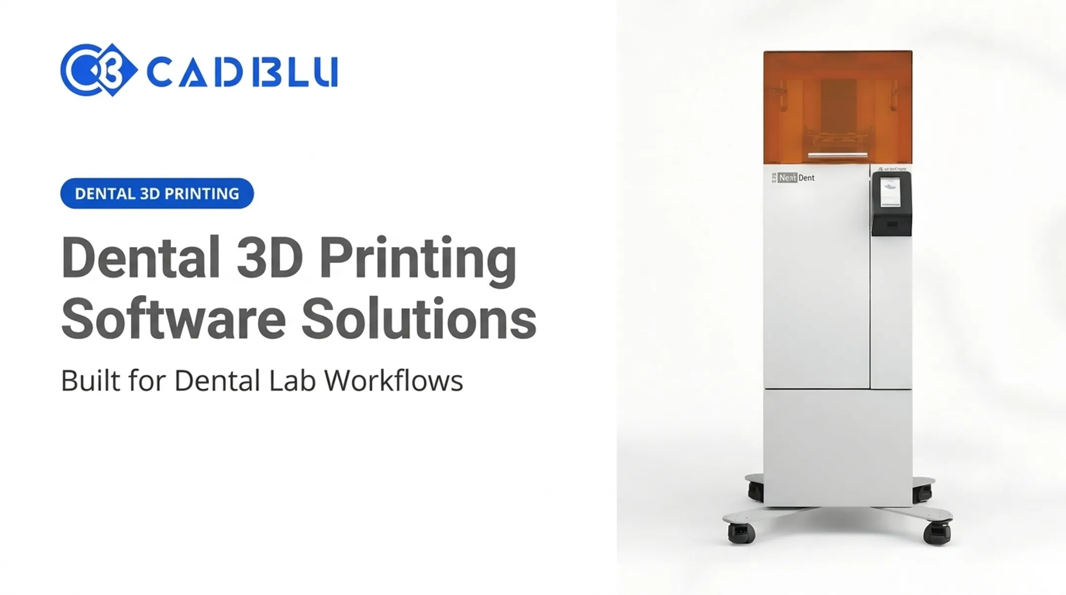 Dental 3D Printing Software Solutions