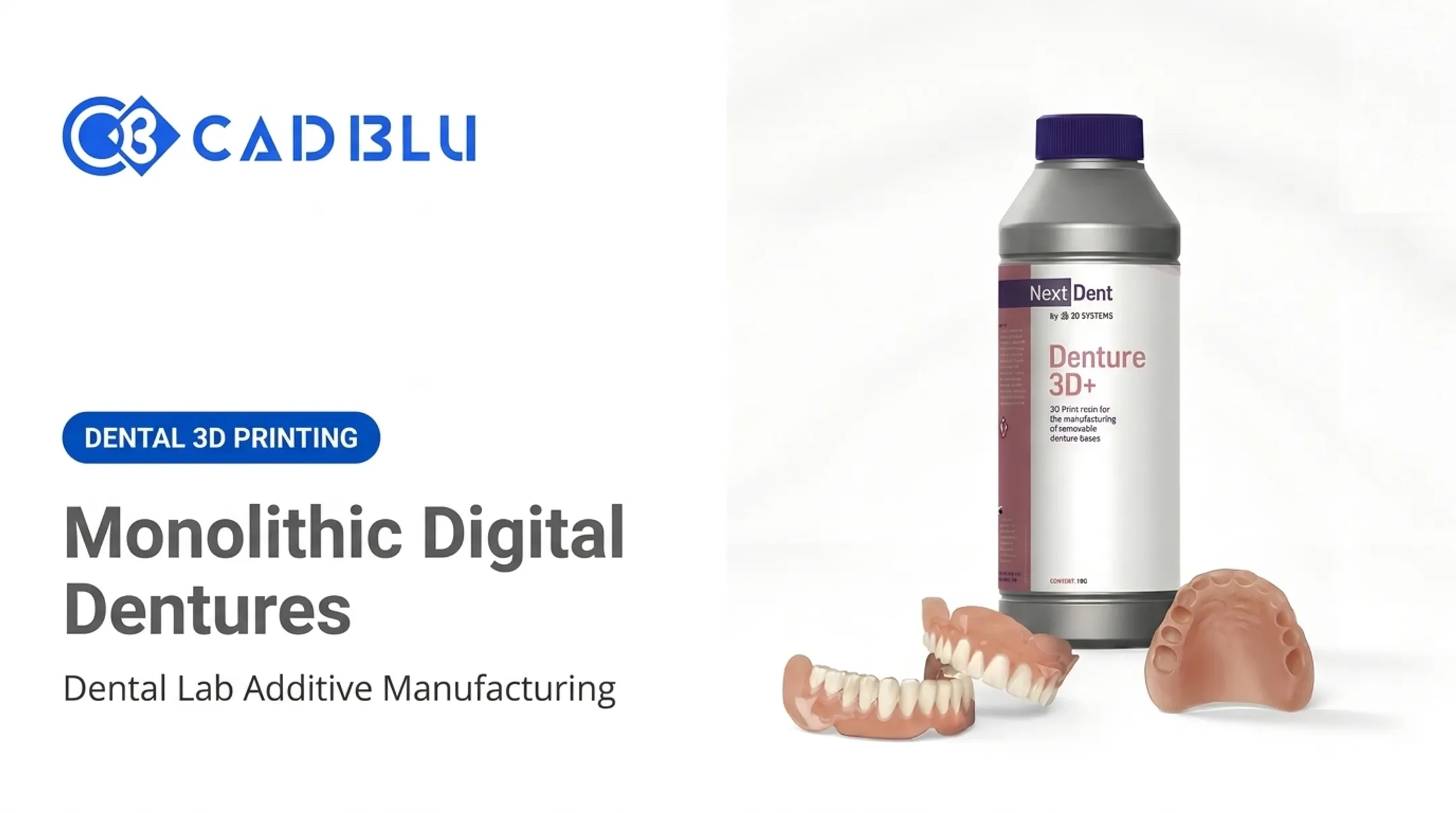 Monolithic Digital Dentures