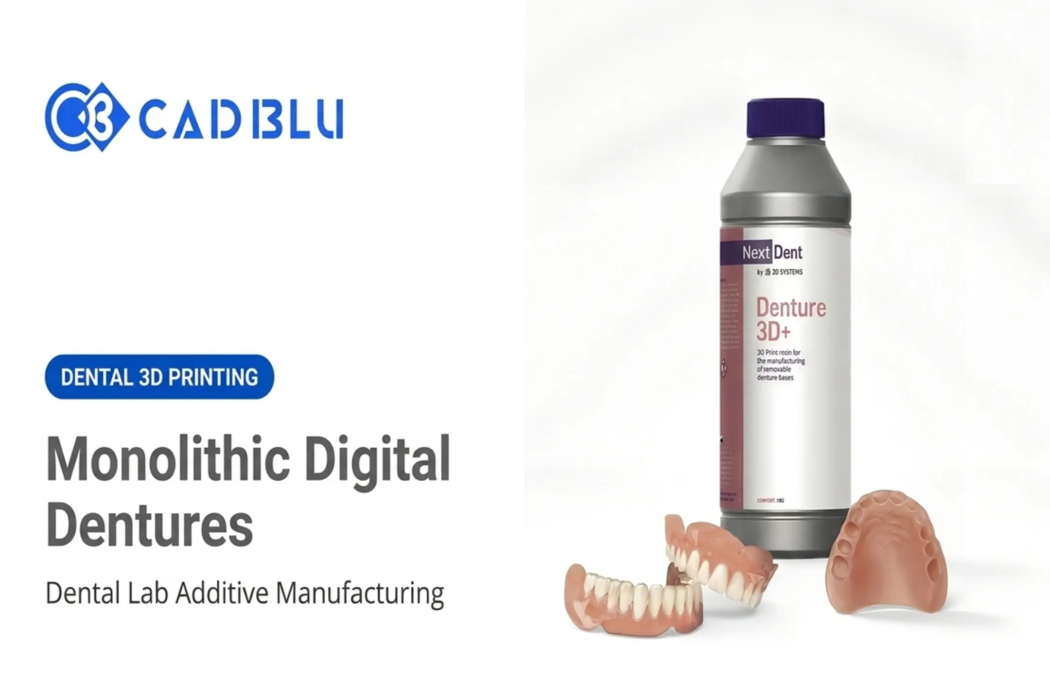 Monolithic Digital Dentures