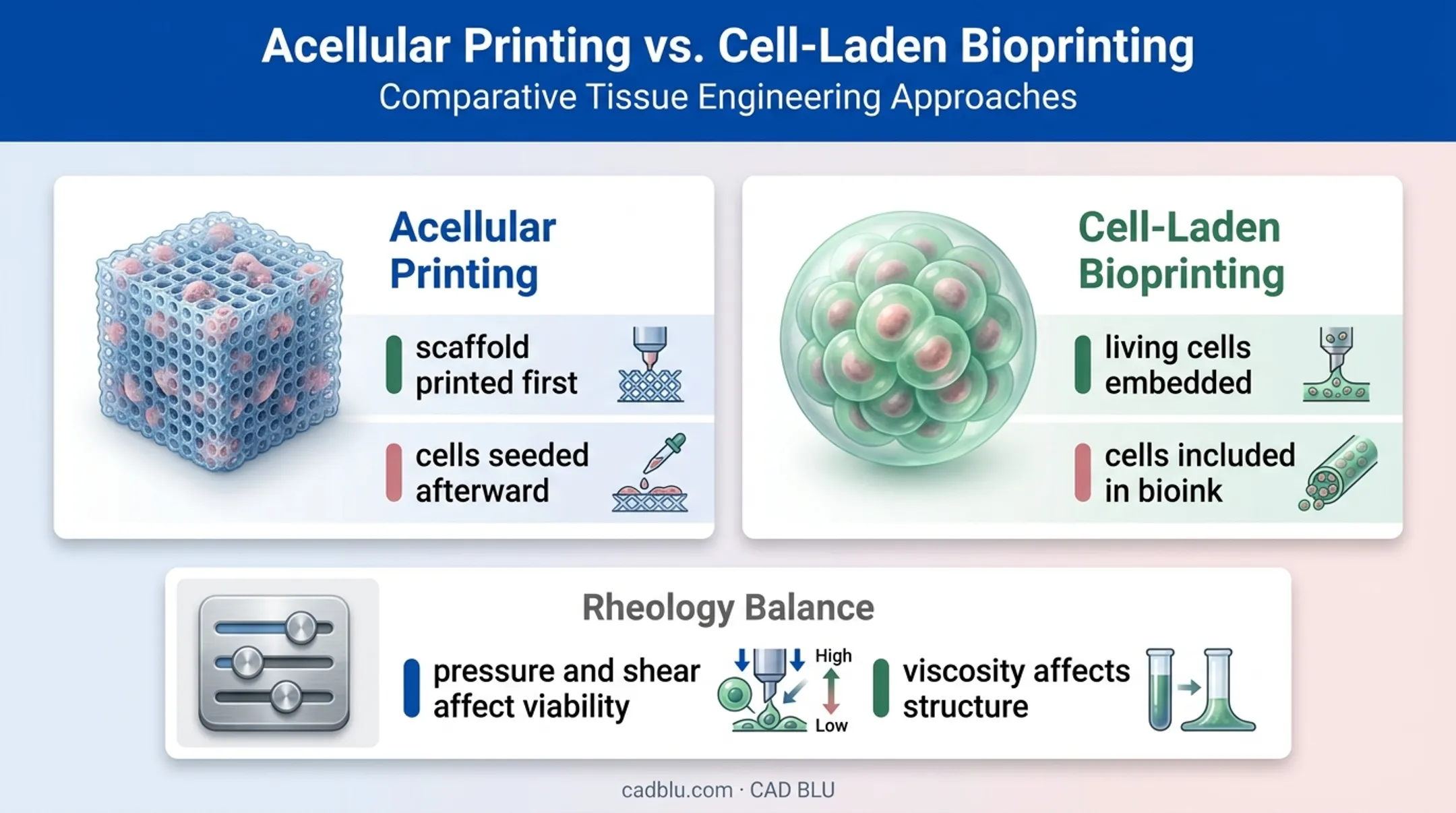 Acellular printing versus cell-laden bioprinting comparison infographic