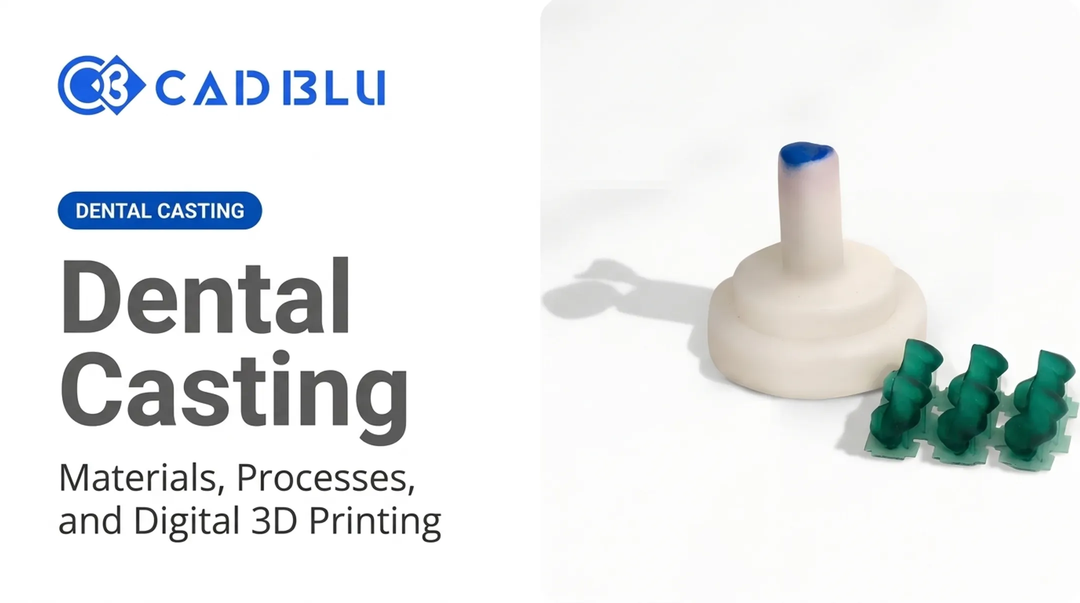 Dental Casting: Materials, Processes, and Digital 3D Printing