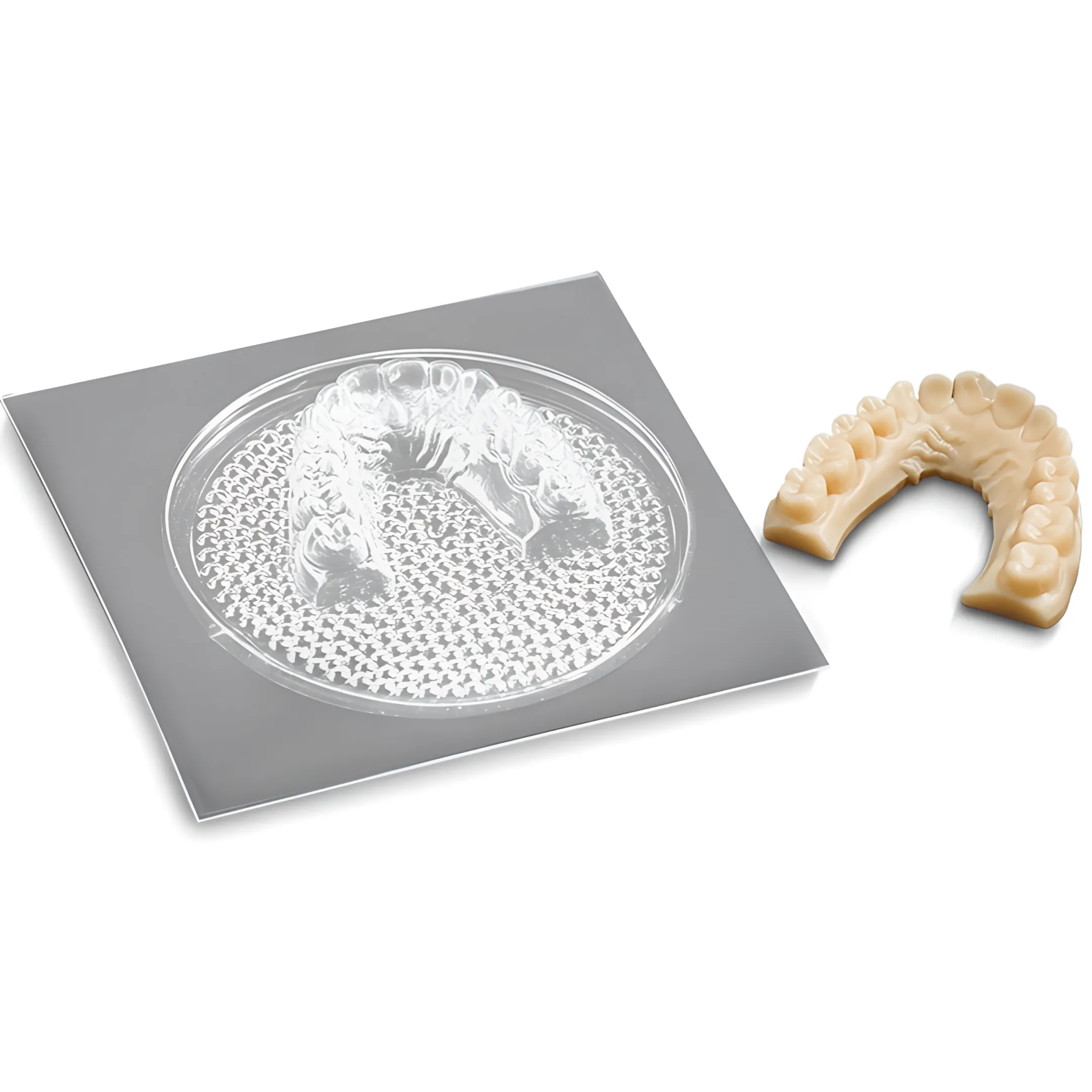 Dental Model & Other Materials (3D Printing Materials Collection)