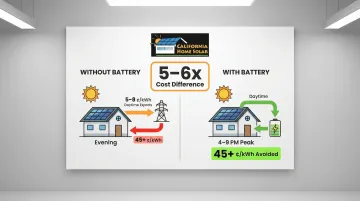 Infographic
