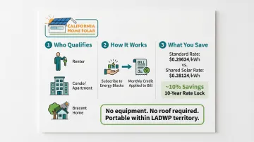 Infographic