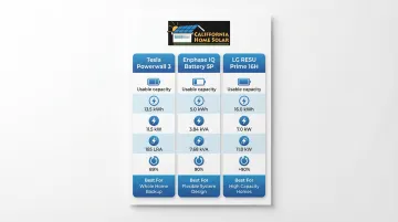 Infographic