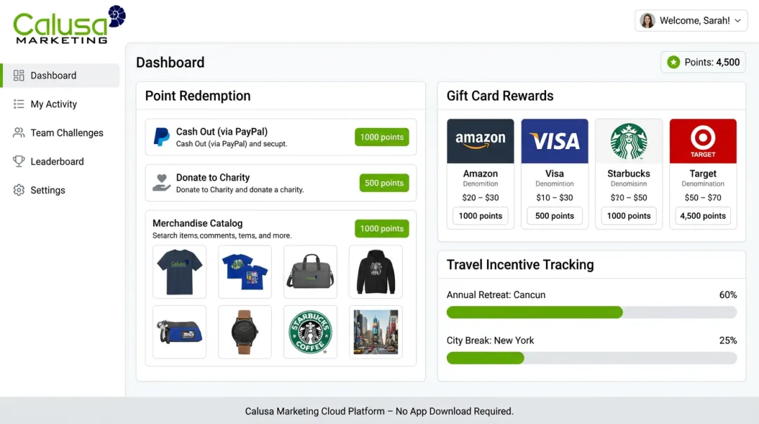 Calusa Marketing cloud-based incentive platform dashboard for employees and customers