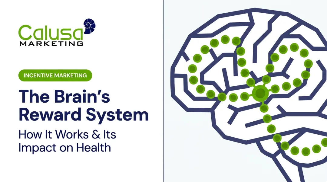 The Brain's Reward System: How It Works &amp; Its Impact on Health