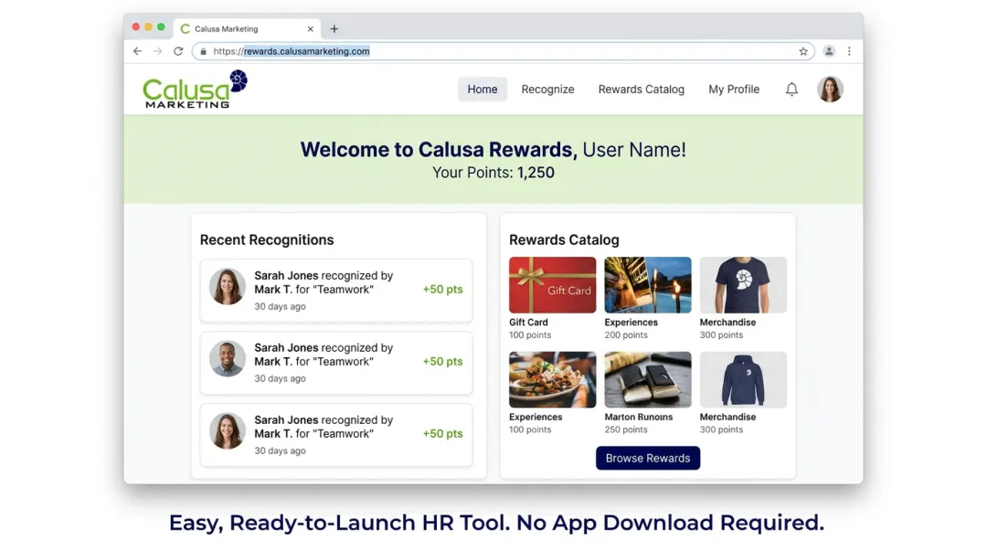 Calusa Marketing cloud-based employee recognition and rewards platform dashboard