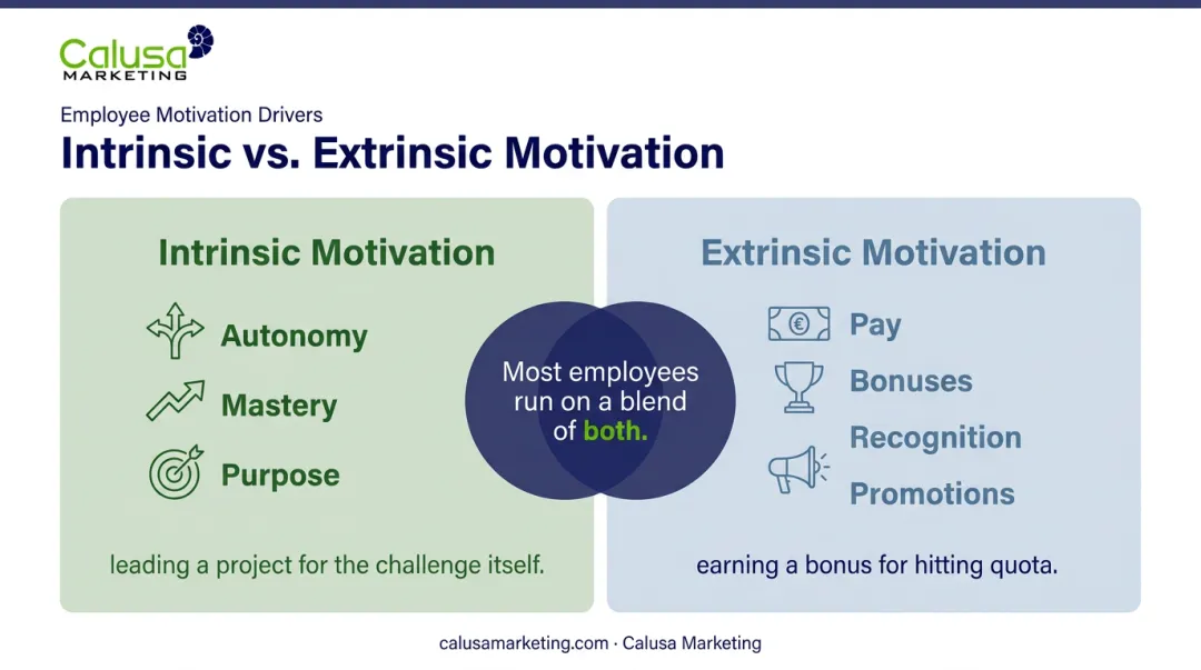 Intrinsic versus extrinsic workplace motivation drivers comparison chart