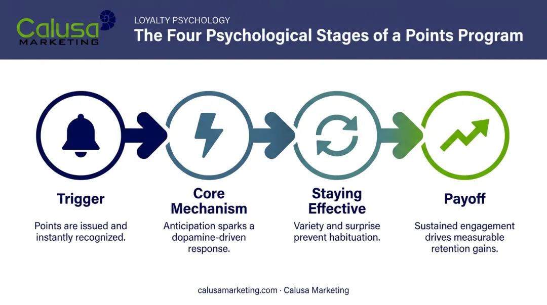Four-stage psychological sequence driving points-based reward system motivation