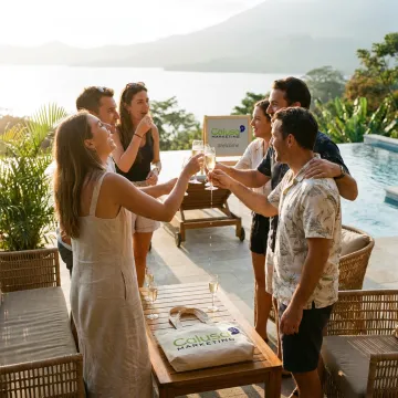 Sales & Incentive Programs