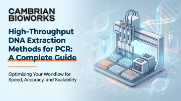 High-Throughput DNA Extraction Methods for PCR: A Complete Guide