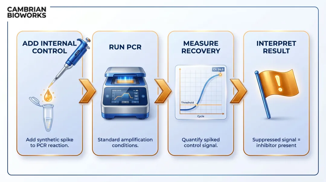 Four-step spiked control PCR inhibition detection process flow diagram