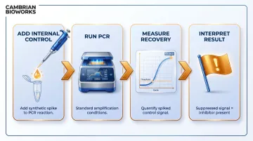 Four-step spiked control PCR inhibition detection process flow diagram