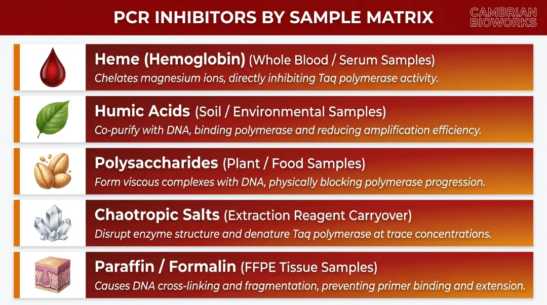Five common PCR inhibitors by sample type source and mechanism infographic