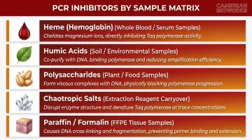 Five common PCR inhibitors by sample type source and mechanism infographic