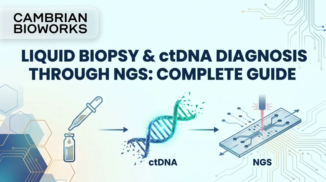 Liquid Biopsy & ctDNA Diagnosis Through NGS: Complete Guide