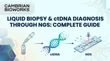 Liquid Biopsy &amp; ctDNA Diagnosis Through NGS: Complete Guide