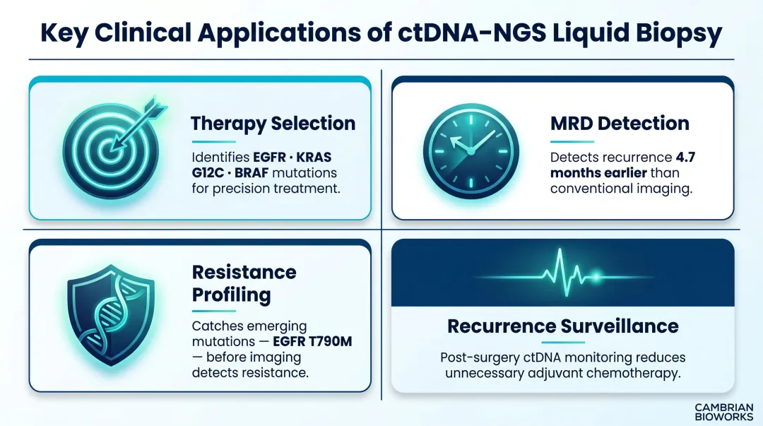 Four key clinical applications of ctDNA NGS liquid biopsy testing infographic