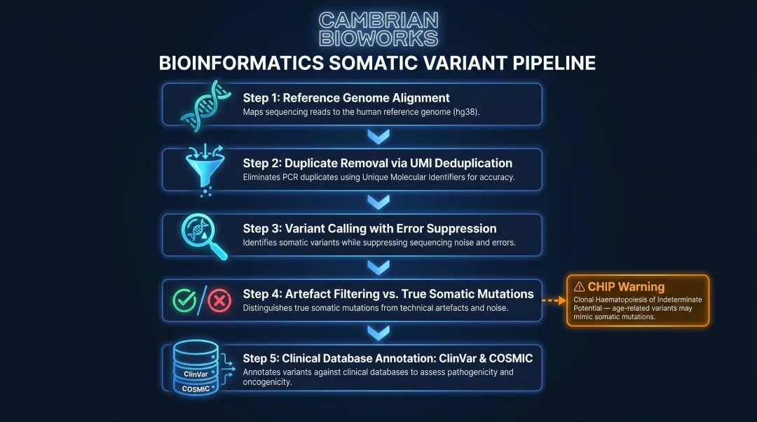 Five-step liquid biopsy NGS bioinformatics pipeline from alignment to clinical annotation