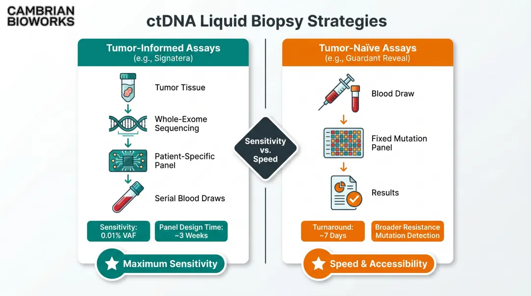 Tumor-informed versus tumor-naive ctDNA assay strategy comparison infographic
