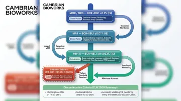 CML molecular response milestones and treatment decision framework ELN guidelines infographic