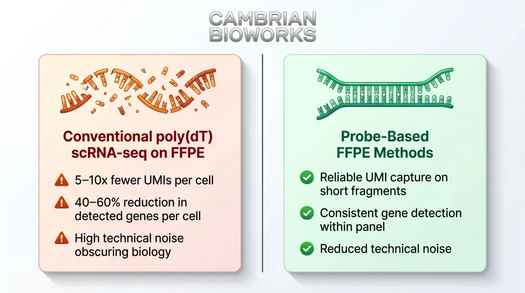 Conventional scRNA-seq FFPE failure metrics versus probe-based method comparison