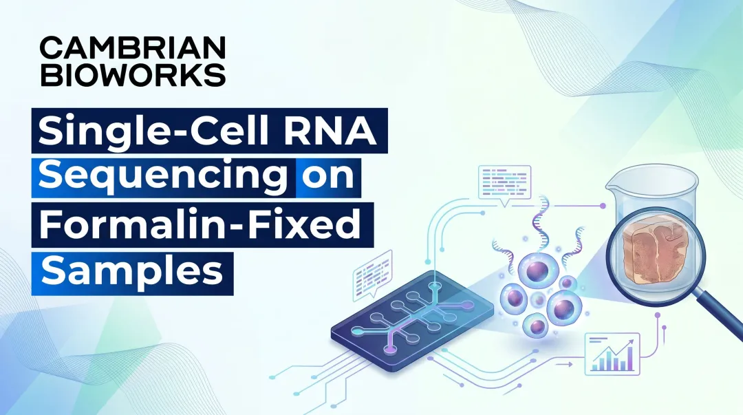 Single-Cell RNA Sequencing on Formalin-Fixed Samples