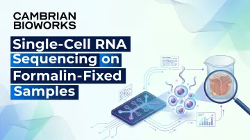 Single-Cell RNA Sequencing on Formalin-Fixed Samples