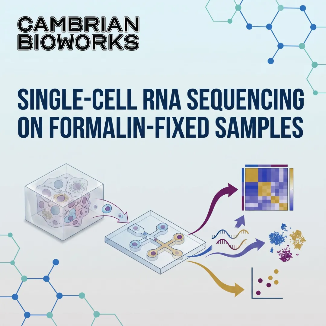 Single-Cell RNA Sequencing on Formalin-Fixed Samples
