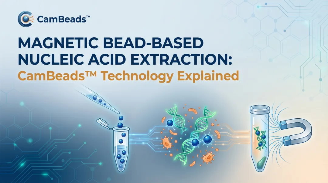 Magnetic Bead-Based Nucleic Acid Extraction: CamBeads™ Technology Explained