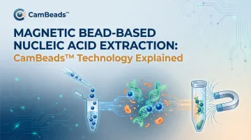 Magnetic Bead-Based Nucleic Acid Extraction: CamBeads™ Technology Explained