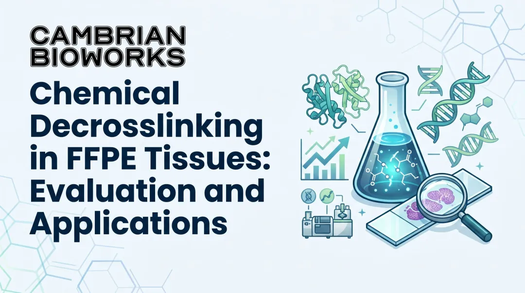 Chemical Decrosslinking in FFPE Tissues: Evaluation and Applications
