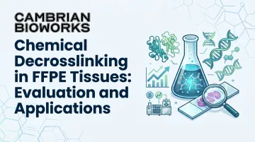 Chemical Decrosslinking in FFPE Tissues: Evaluation and Applications
