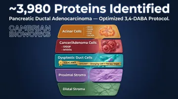 PDAC spatial proteomics cell population protein markers identified via 3,4-DABA decrosslinking protocol
