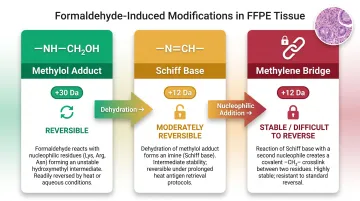 Three types of formaldehyde crosslink modifications in FFPE tissue comparison infographic