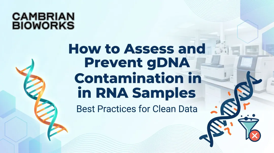 How to Assess and Prevent gDNA Contamination in RNA Samples