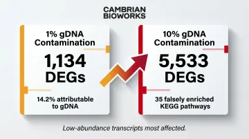 gDNA contamination impact showing false DEGs and spurious KEGG pathways at 1 and 10 percent