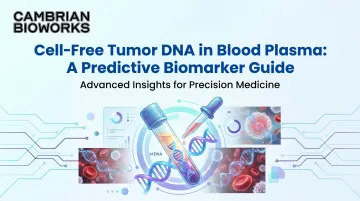 Cell-Free Tumor DNA in Blood Plasma: A Predictive Biomarker Guide