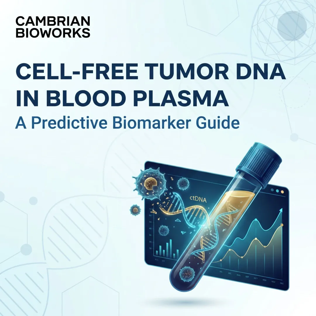Cell-Free Tumor DNA in Blood Plasma: A Predictive Biomarker Guide