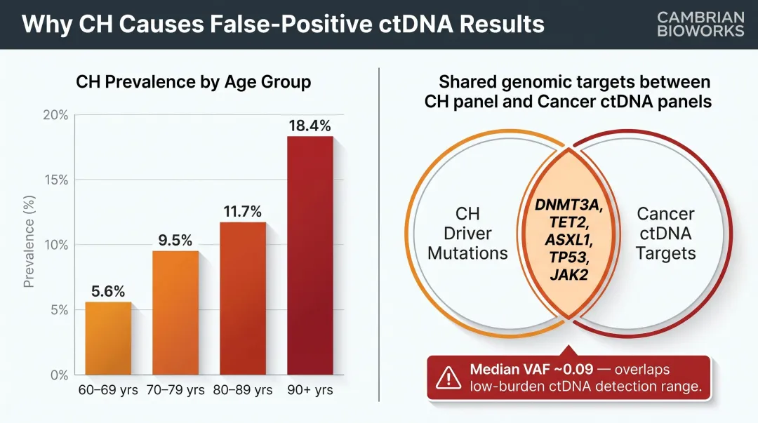 Clonal hematopoiesis prevalence by age group and overlapping cancer gene mutations