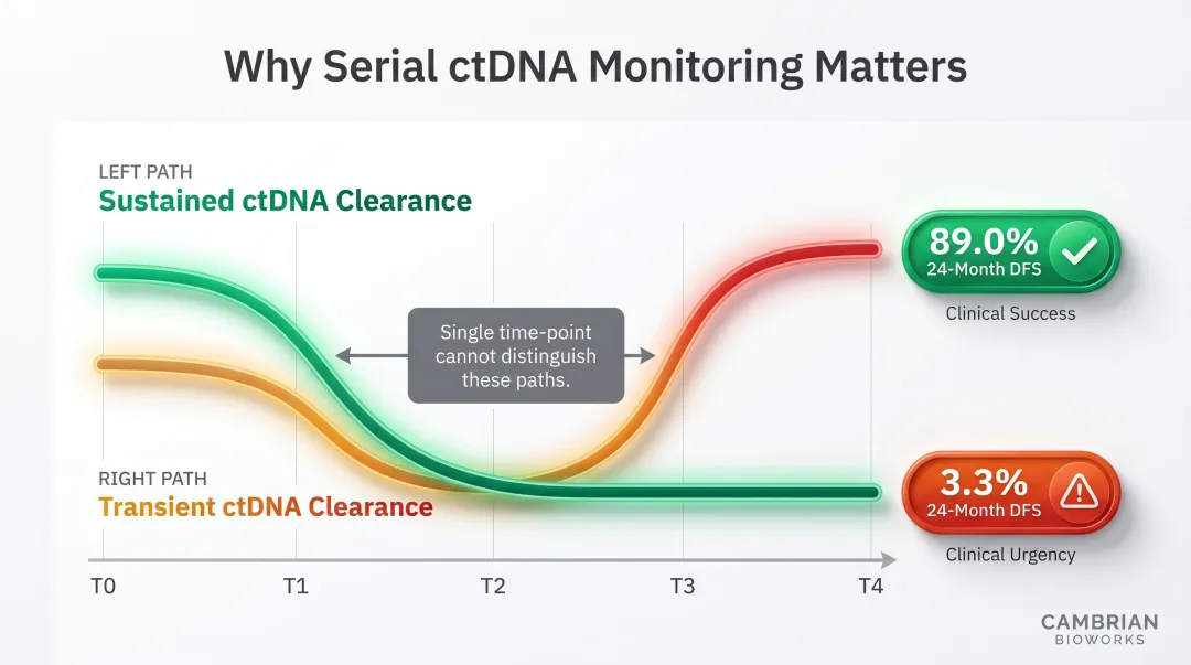 Serial ctDNA monitoring outcomes comparing sustained versus transient clearance disease-free survival