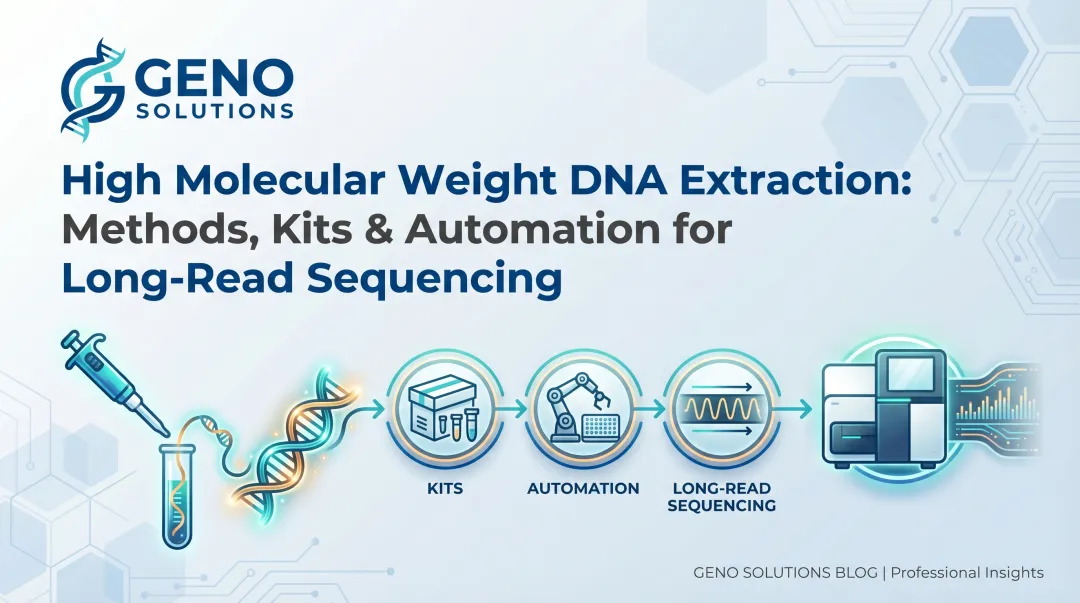 High Molecular Weight DNA Extraction: Methods, Kits & Automation for Long-Read Sequencing