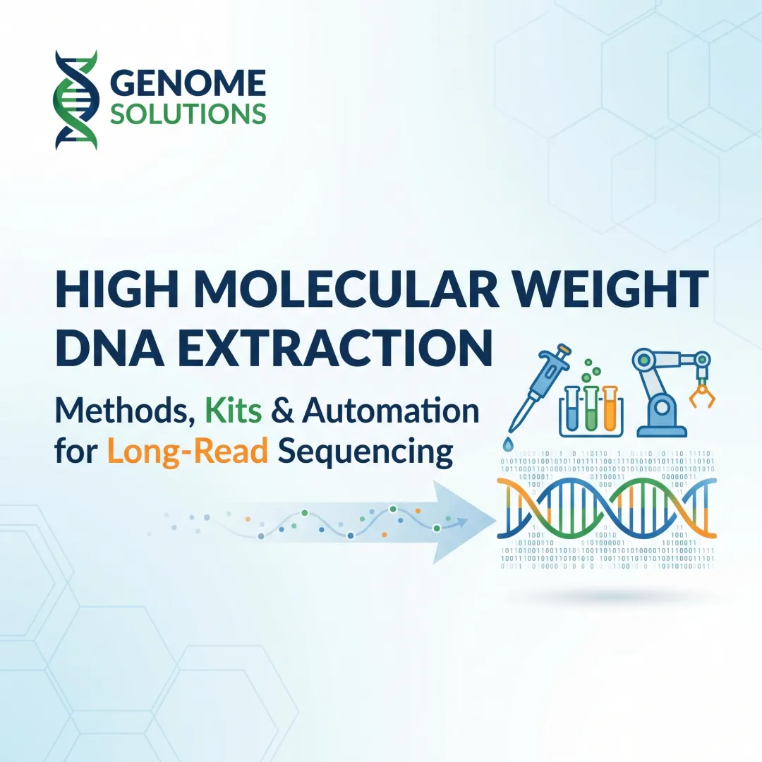 High Molecular Weight DNA Extraction: Methods, Kits & Automation for Long-Read Sequencing