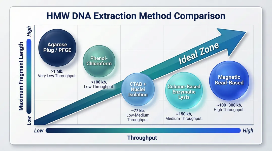 Five HMW DNA extraction methods compared by fragment length speed and throughput