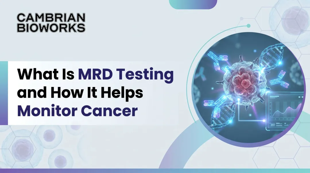 What Is MRD Testing and How It Helps Monitor Cancer