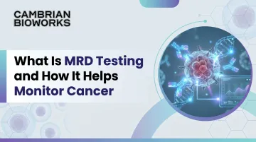 What Is MRD Testing and How It Helps Monitor Cancer