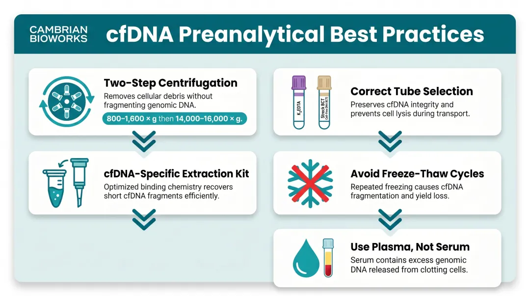 cfDNA preanalytical best practices five-step protocol for MRD liquid biopsy workflow