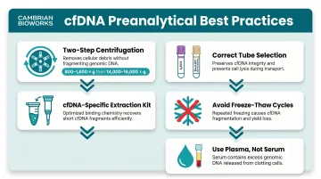 cfDNA preanalytical best practices five-step protocol for MRD liquid biopsy workflow