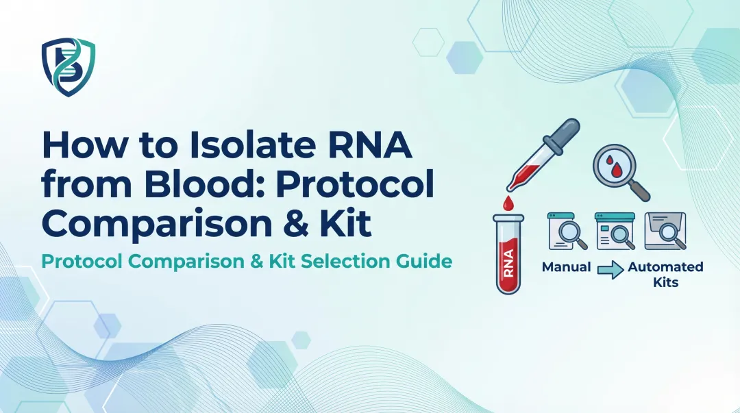 How to Isolate RNA from Blood: Protocol Comparison & Kit Selection Guide